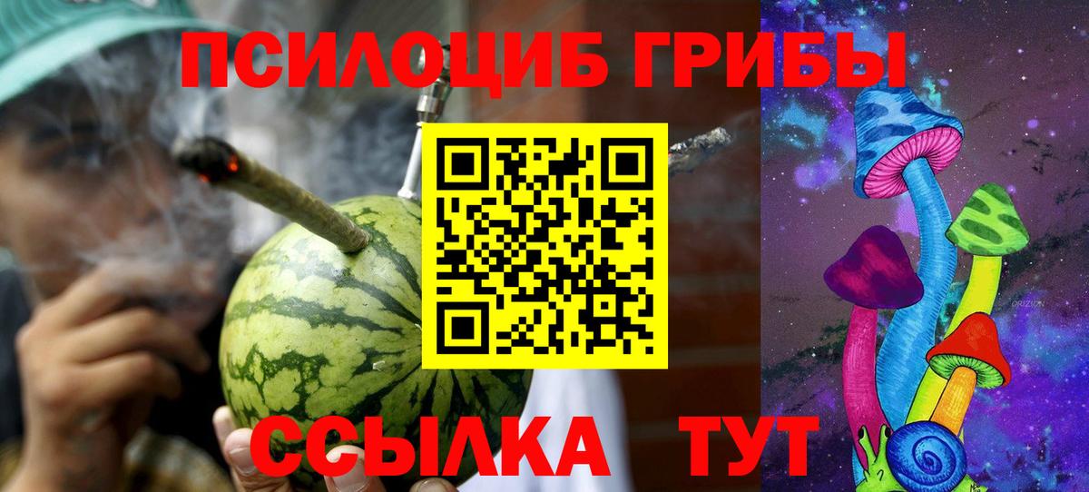 Ишимбай  Галлюциногенные грибы прущие грибы  Вход с VPN 