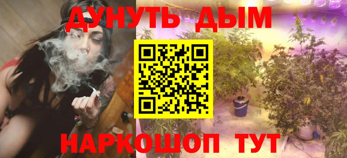 Шишки марихуана планчик  МАРИХУАНА тримм  Ишимбай  Вход с VPN  МАРИХУАНА план 